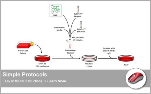 Cytofect™ Transfection Kits | Simple Protocols