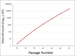 1803 HUVEC EGM2 growth curve v2