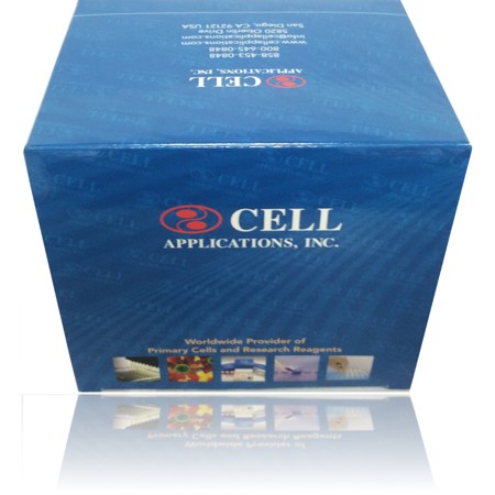 CAI Box Total Kit