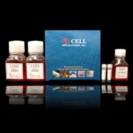 Cytofect™ Mesenchymal Stem Cell Transfection Kit
