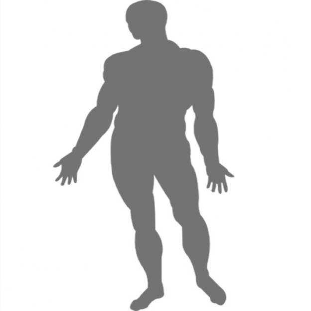 Human