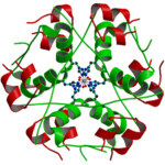 Bovine Insulin