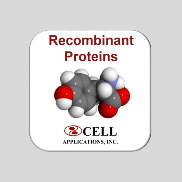 SCF: Mouse Stem Cell Factor