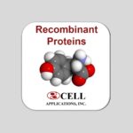 EBI3: Macaque Epstein-Barr Virus Induced Gene-3