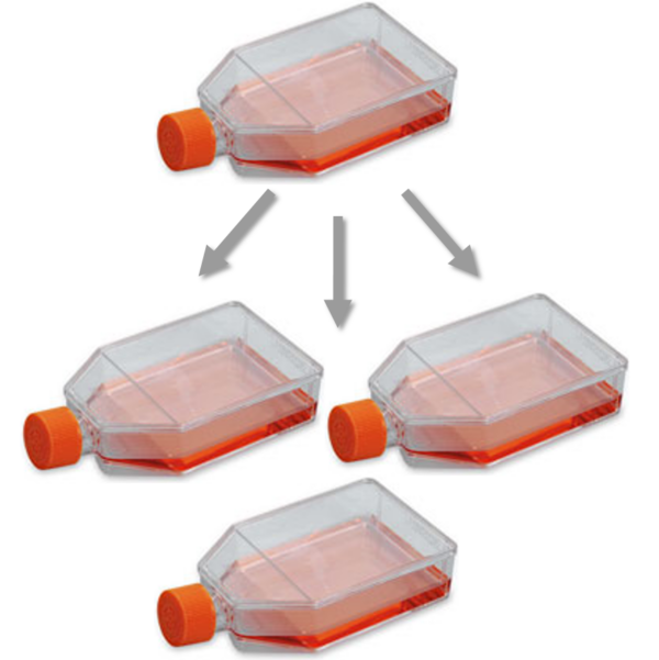 Subculture Reagents