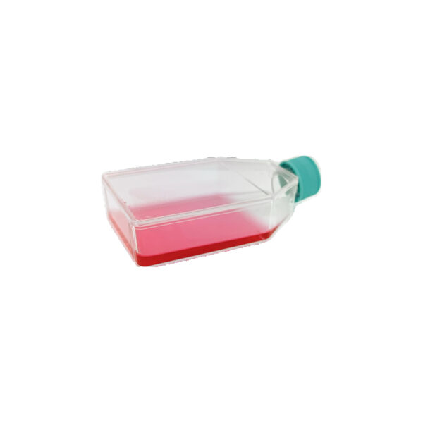 T-75 Flask