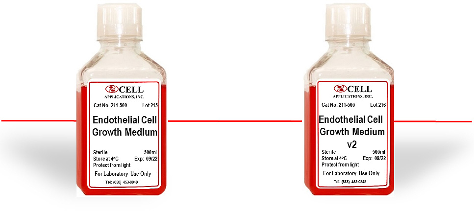 Endothelial Cell Media