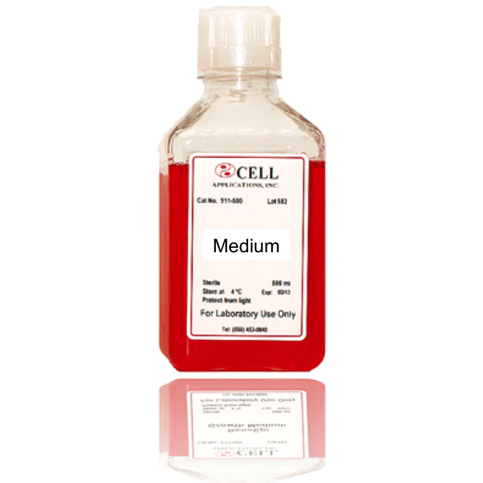 Dermal Papilla Cell Media