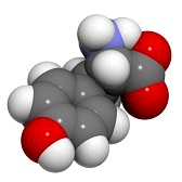 Growth Factors & Cytokines