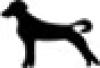 Canine Cell Media