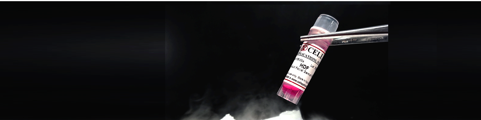 Header Image