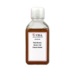 FBS: Fetal Bovine Serum