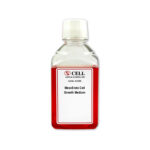 Human MesoEndo Endothelial Cell Media