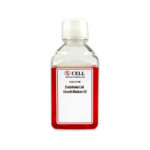Human Endothelial Cell Media v2