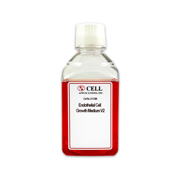 Human Endothelial Cell Media v2