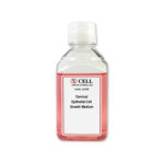 Human Cervical Epithelial Cell Media
