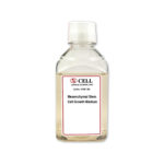 Human Mesenchymal Stem Cell Xeno-Free Medium