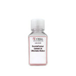 Human Bronchial/Tracheal Epithelial Cell Differentiation Medium