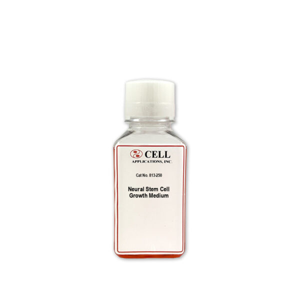 Human Neural Stem Cell Media