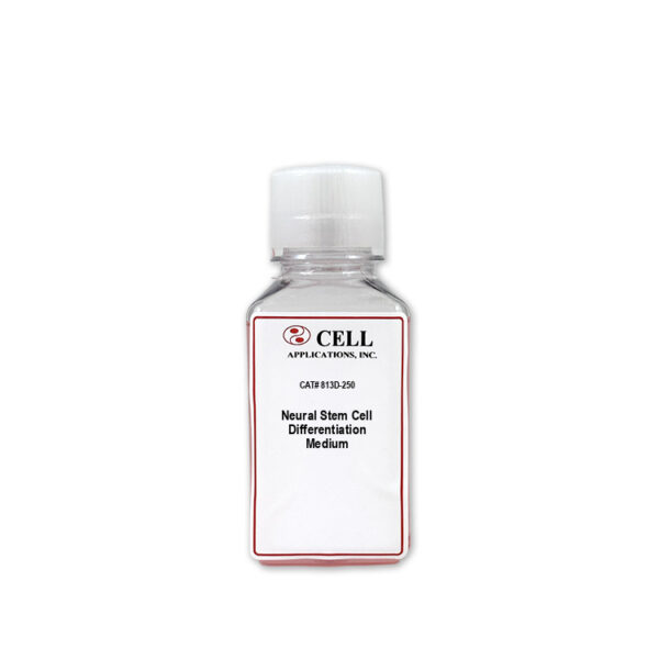 Human Neural Stem Cell Differentiation Media