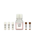 Human iPSC-Derived Hepatic Stellate Cell i-HHSC Quiescent Culture Medium Kit