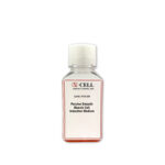 Porcine Smooth Muscle Cell Induction Medium