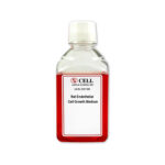 Rat Endothelial Cell Media