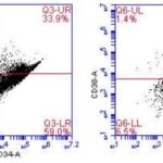 Human CD34+ Hematopoietic Stem Cells from Liver: HHSC-L