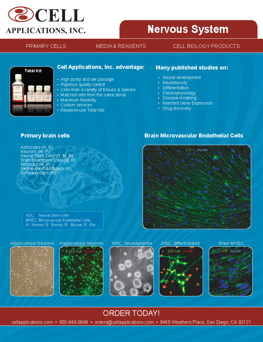 Nervous System Flyer 2026